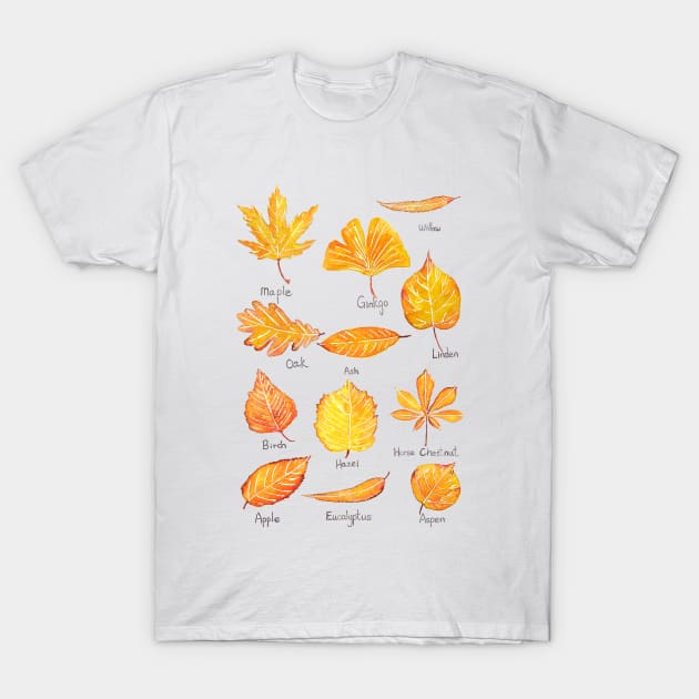 Yellow Autumn leaves collection watercolor T-Shirt by colorandcolor